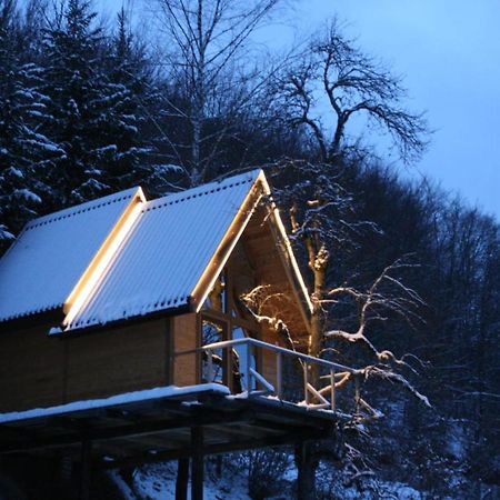Tree House - Tara Place Mojkovac Eksteriør bilde
