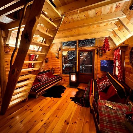 Tree House - Tara Place Mojkovac Eksteriør bilde