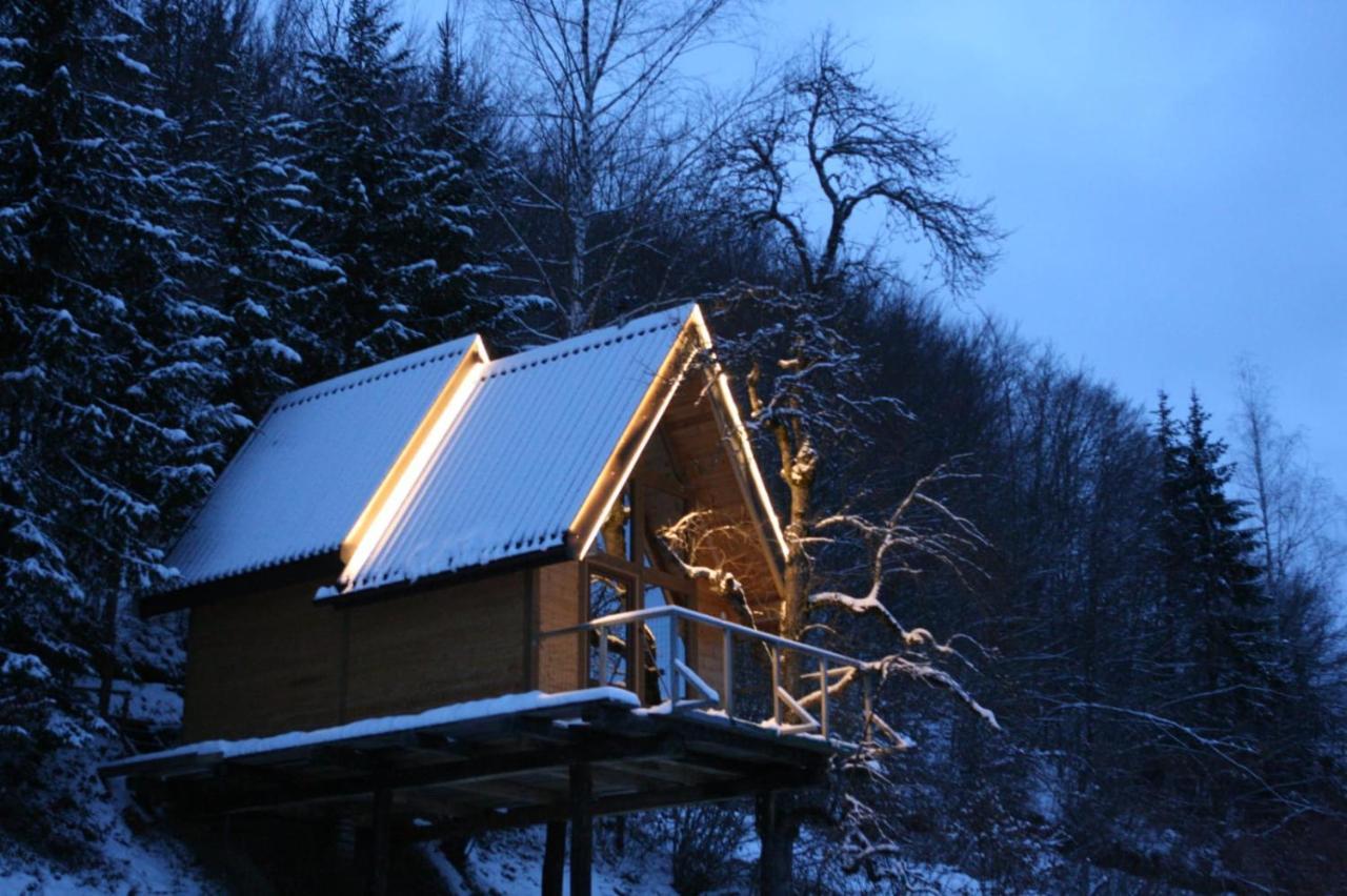Tree House - Tara Place Mojkovac Eksteriør bilde