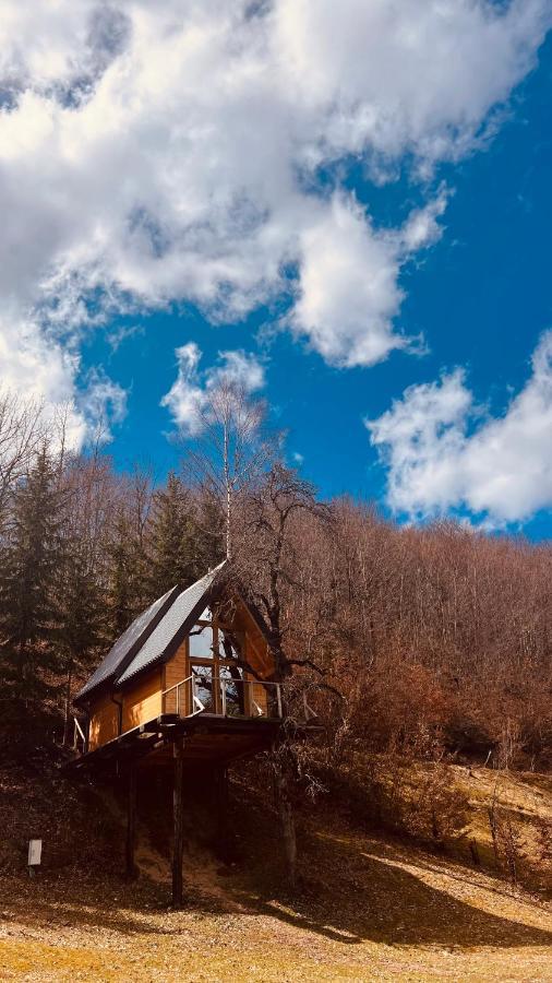 Tree House - Tara Place Mojkovac Eksteriør bilde