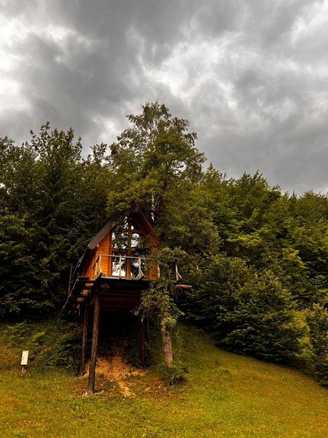 Tree House - Tara Place Mojkovac Eksteriør bilde