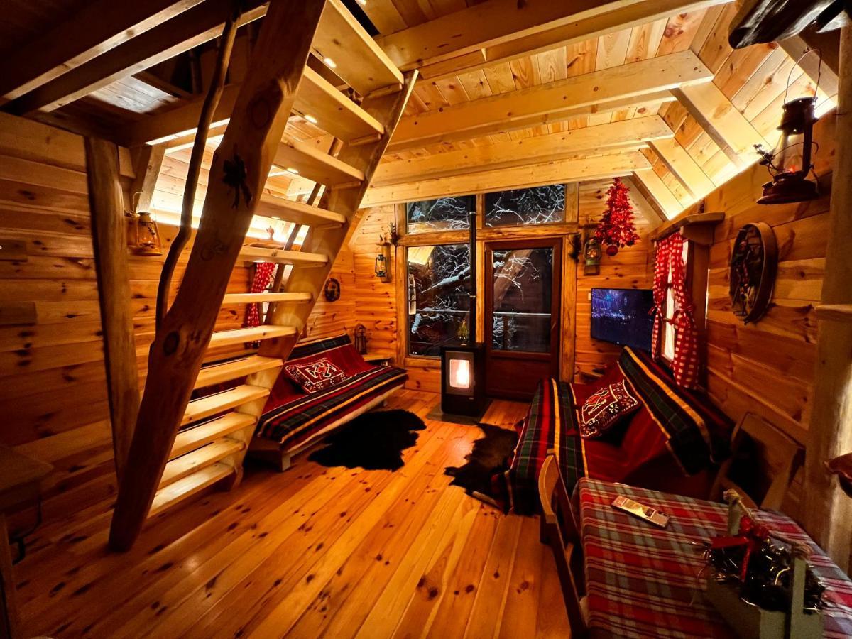 Tree House - Tara Place Mojkovac Eksteriør bilde