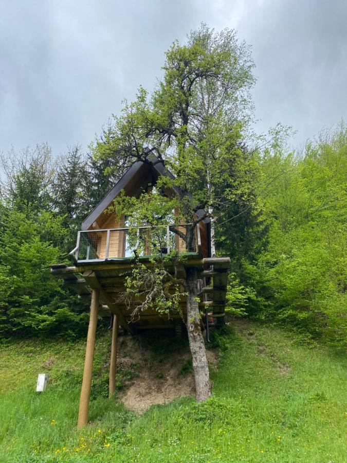 Tree House - Tara Place Mojkovac Eksteriør bilde