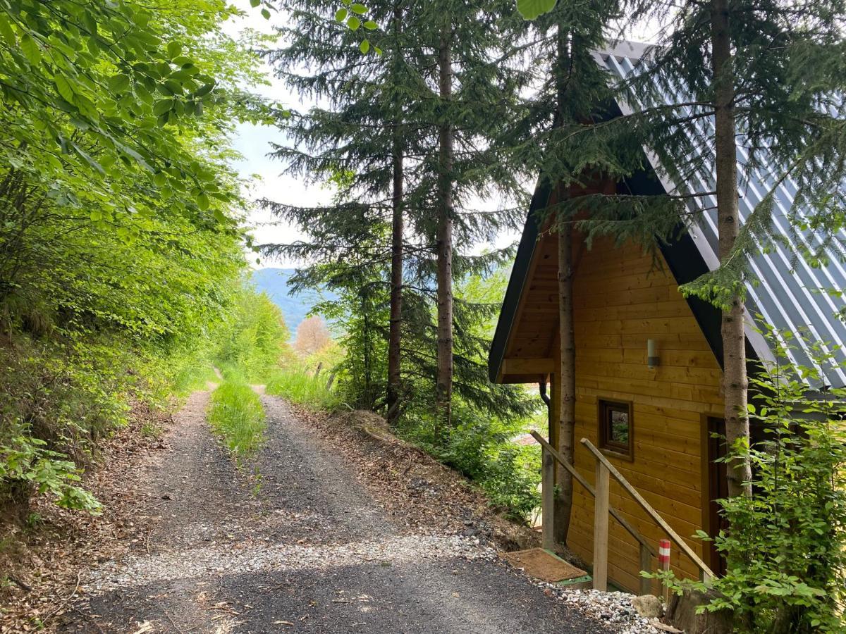 Tree House - Tara Place Mojkovac Eksteriør bilde